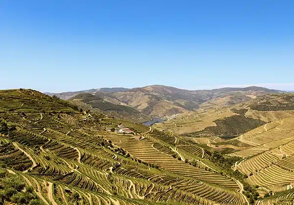 douro valley