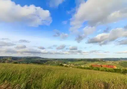 Farms in Portugal