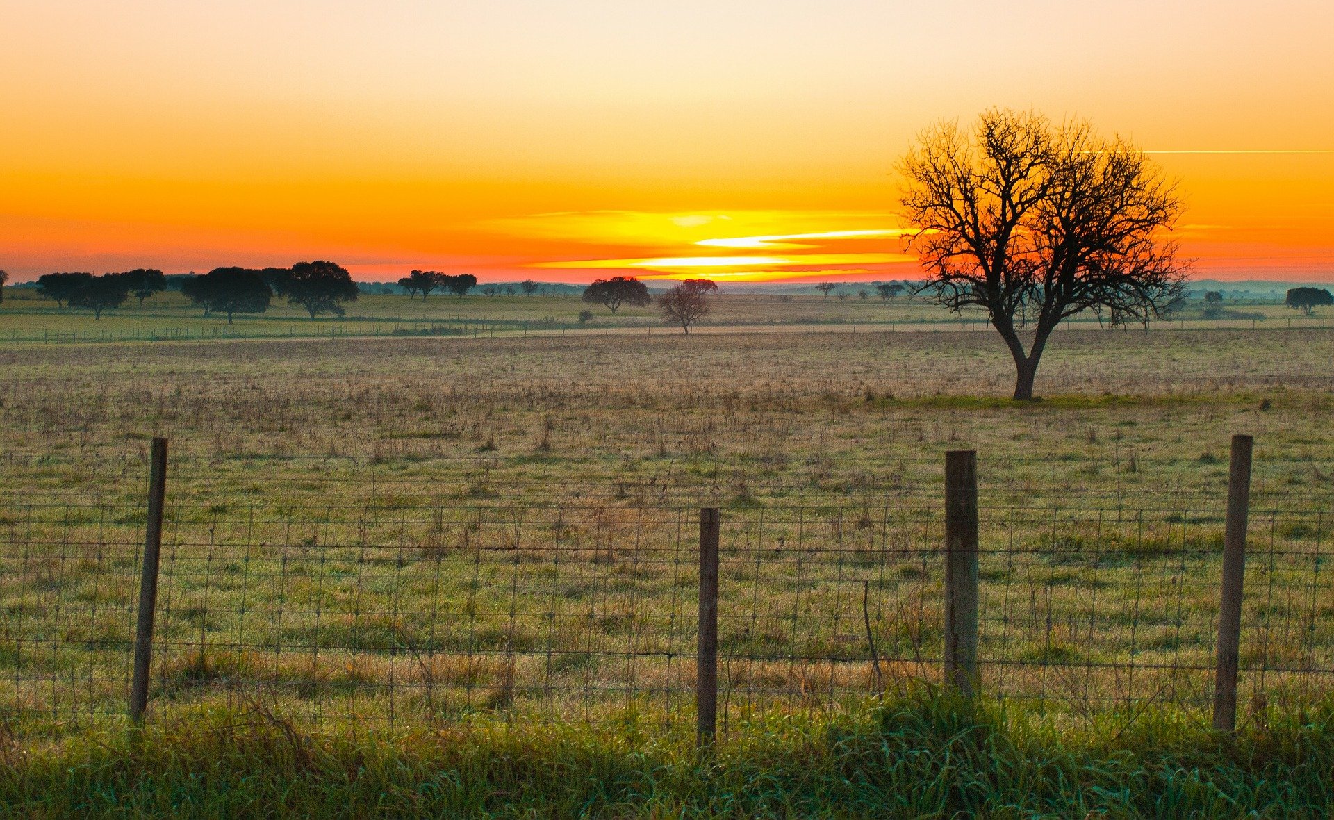 Farms for Sale in Portugal - Best Places to Find | Goldcrest 