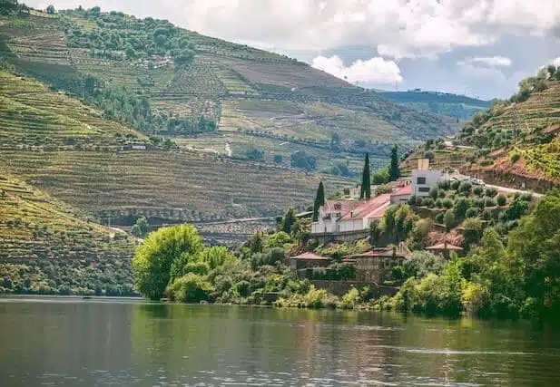 douro portugal farms Portugal properties under 50k