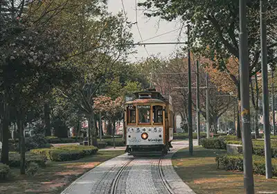 public transport near trees and natural landscape