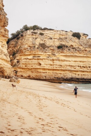 how to get portuguese residency