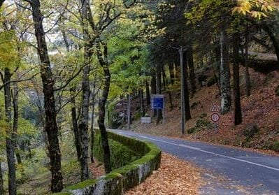 driving in portugal