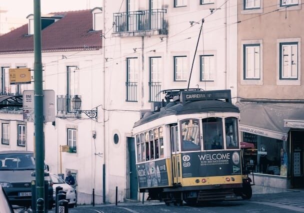 Portuguese drivers license