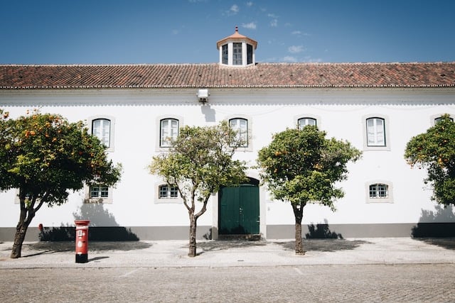 Lifestyle in Faro Portugal