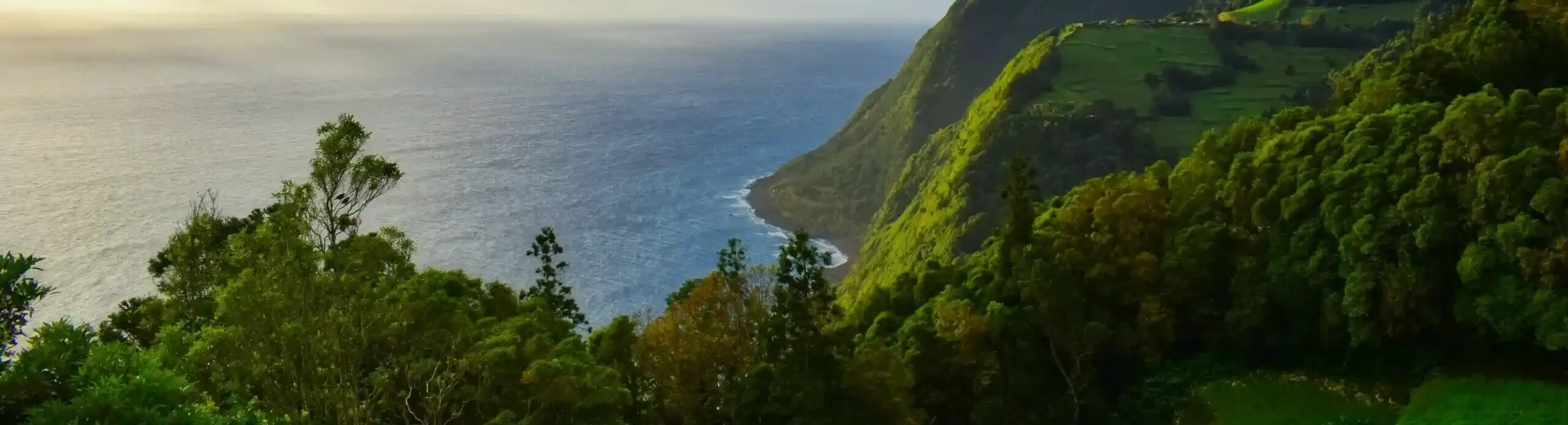 São-Miguel-Azores-Real-Estate