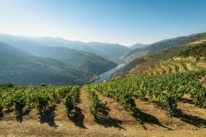 Portugal land for sale in rural areas