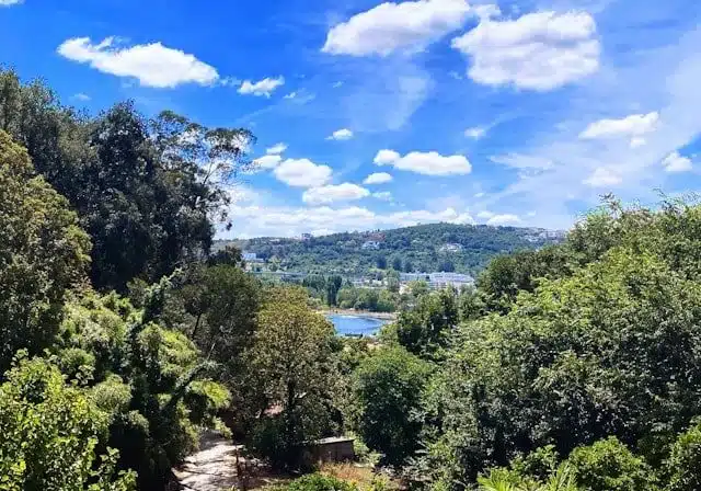 coimbra portugal properties under 50k