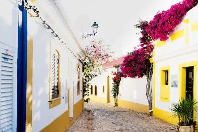 Algarve buildings with flowers and greenery during the day