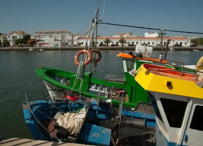 Living-in-Tavira