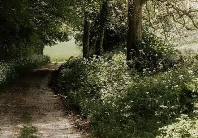 Trilha de Mistérios Negros hiking in portugal