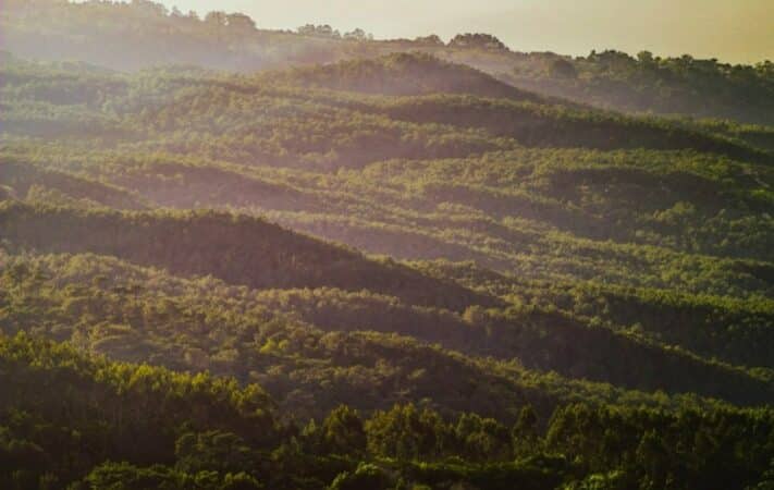 country-house-for-sale-in-portugal