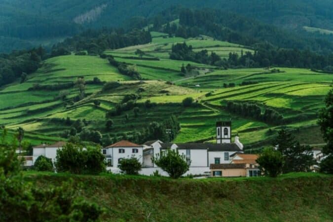 farm-castelo-branco-portugal