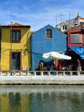 located-in-aveiro-portugal-house-for-sale