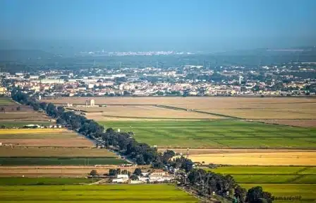 vila franca de xira near lisbon with natural foliage