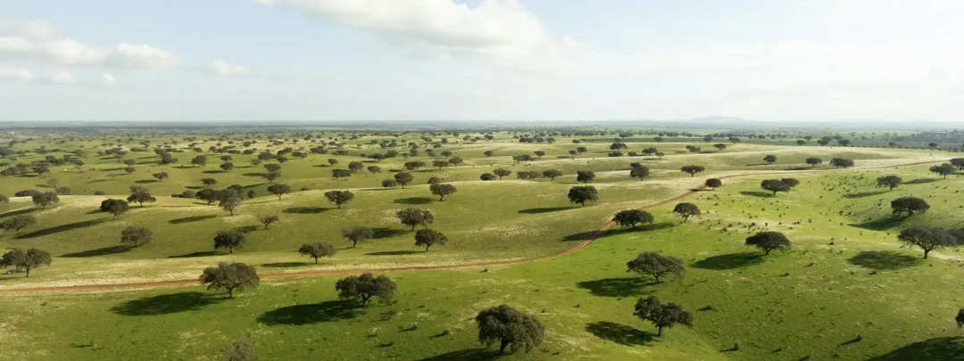 How to Future Proof Your Property in Portugal