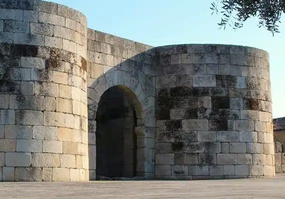 guarda-header-district