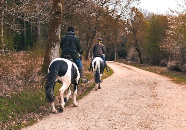 horse riding