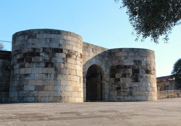 guarda-fortress
