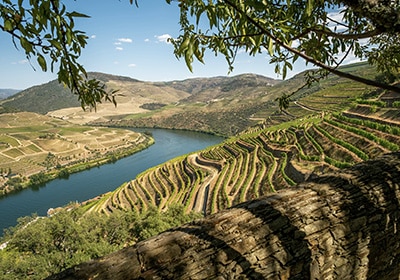 douro valley in portugal overlooking the river
