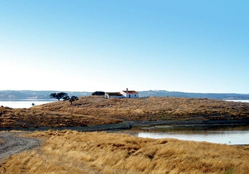 nature comporta 