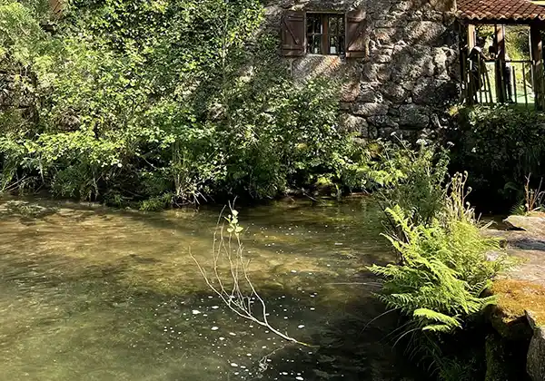 regional house next to a river