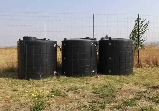 rainwater harvesting containers